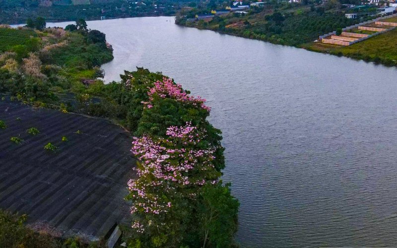 bản đồ quy hoạch 866 tại Bảo Lộc - Hồ Nam Phương