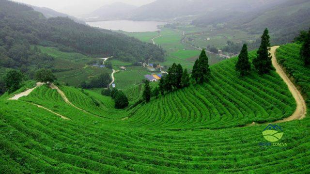 Đất nền vùng ven tại Bảo Lộc - Thành phố sương Bảo Lộc