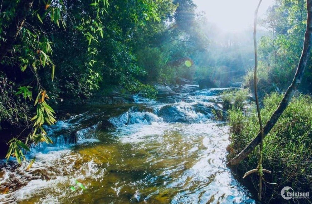 Đất view suối tại Bảo Lộc - Du lịch suối Lũng Chuối