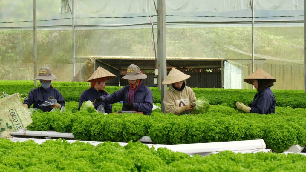 Đất nền Bảo Lộc. Mô hình nông sản hữu cơ tại Bảo Lộc