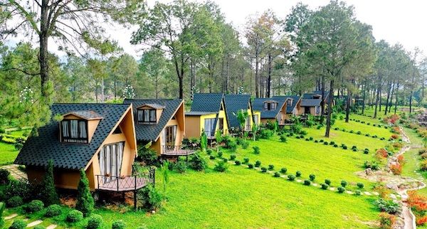 Homestay tại Bảo Lộc - Urban Forest Lodge, Phủ xanh Bảo Lộc