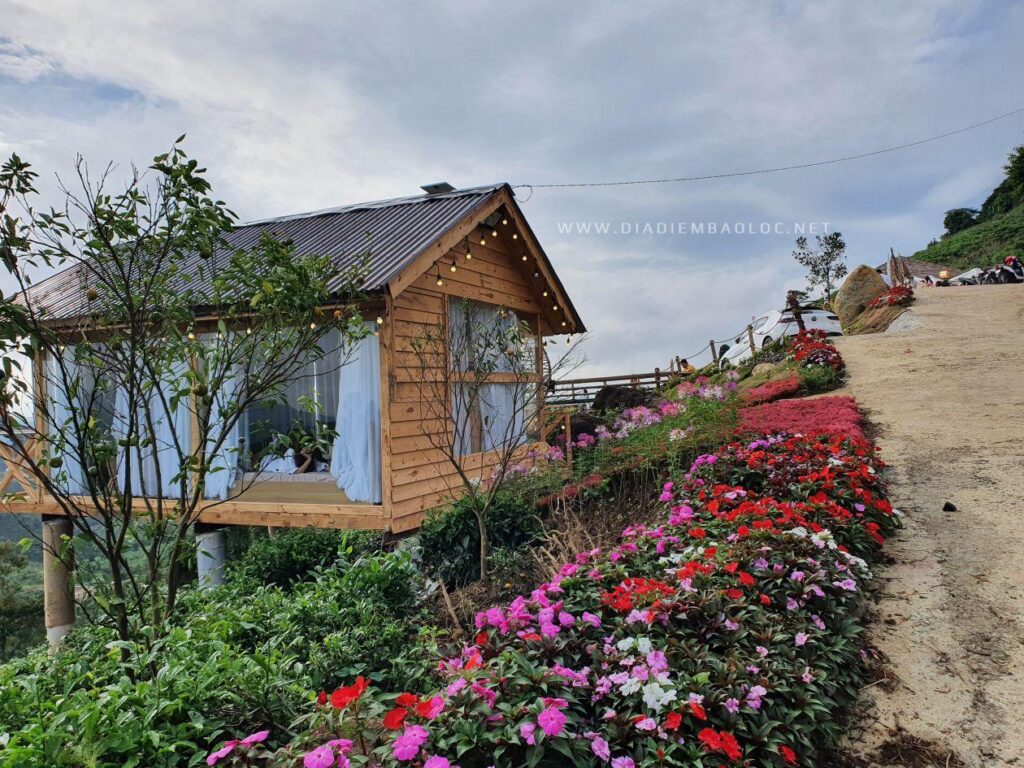 Homestay tại Bảo Lộc - Cloud Hill Đại Lào