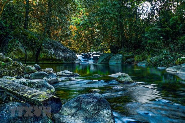 Đất view suối tại Bảo Lộc - Đất view suối rừng thông trong lành, xanh mát