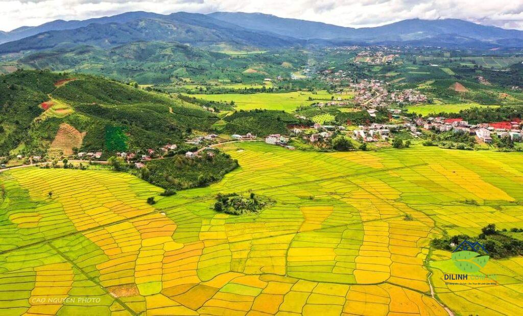 Cao tốc Bảo Lộc Liên Khương - Bất động sản Di Linh