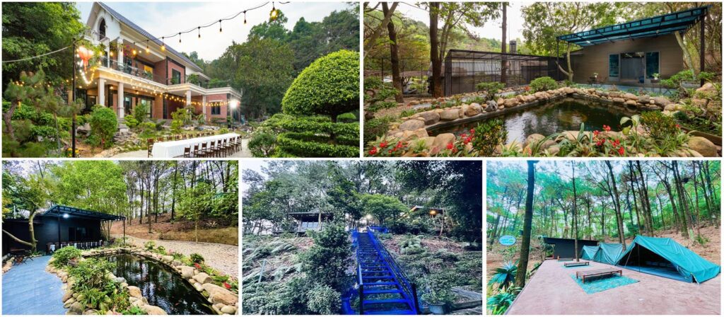 Homestay tại Bảo Lộc - Rừng thông Retreat cực đẹp