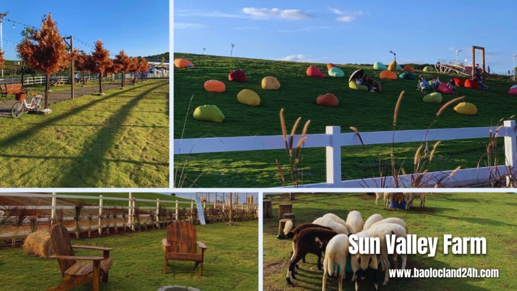 Cao tốc Dầu Giây Liên Khương. Bảo Lộc Sun Valley Farm