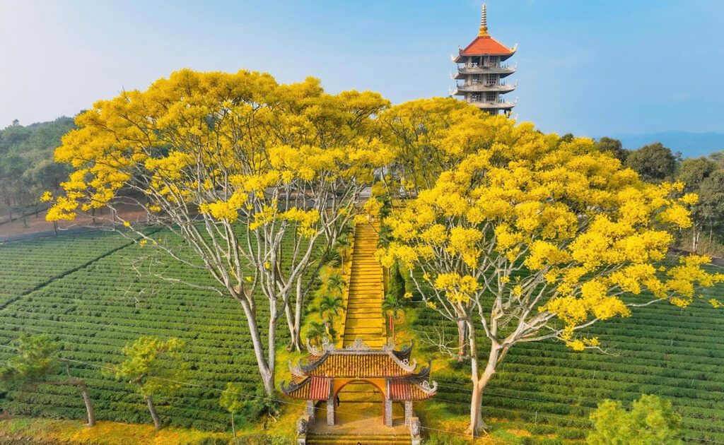 Check in sống ảo tại Bảo Lộc. Tu viện Bát Nhã được nhuộm vàng bởi hoa phượng