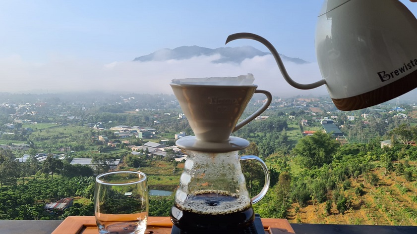 Cà phê sân vườn Bảo Lộc. Một buổi sớm tinh khôi, cà phê sân vườn Bảo Lộc, view chill