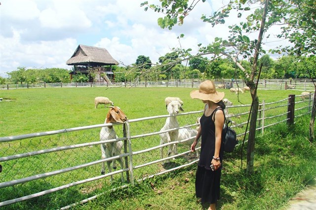 Bảo Lộc farm. Check-in Bảo Lộc farm – xanh mát, thơ mộng, lên hình là mê