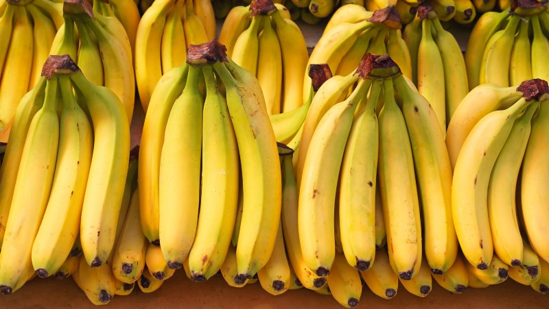 Đặc sản Bảo Lộc. Chuối Laba – dẻo thơm, ngọt thanh, đặc sản trứ danh Bảo Lộc