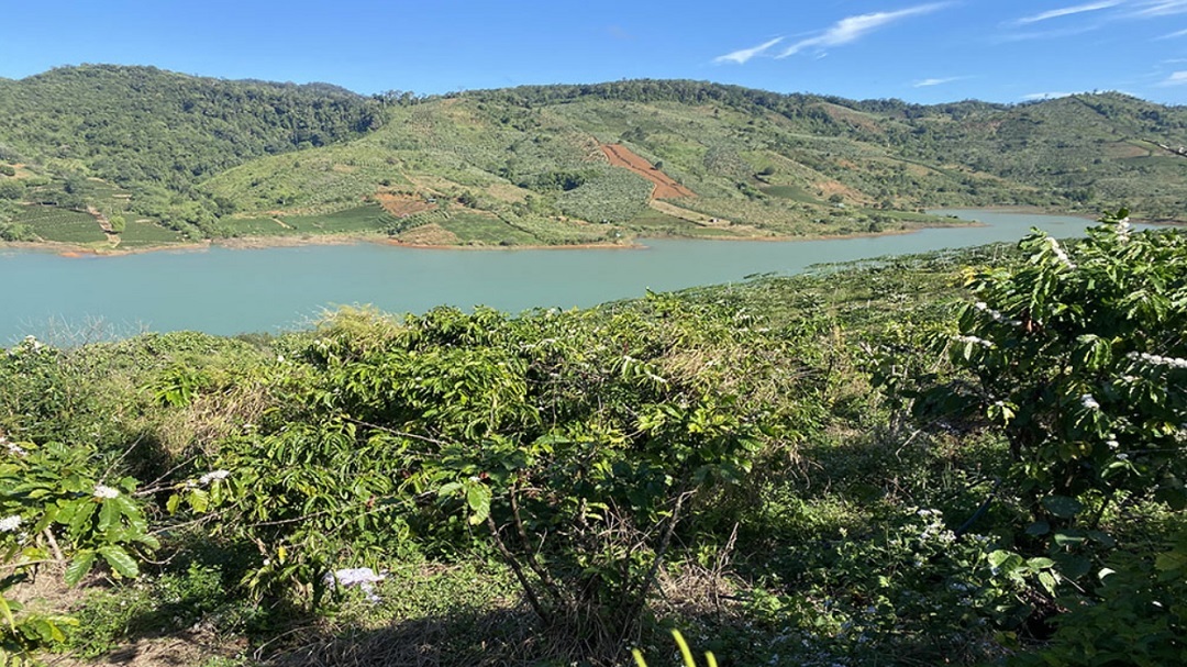 bi-quyet-mua-ban-dat-view-ho-bao-loc