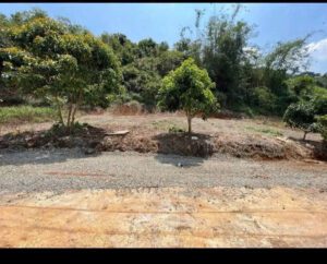 Đất Nguyễn An Ninh P2 Bảo Lộc