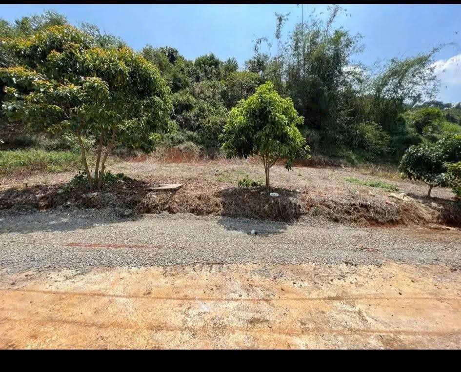 đất Nguyễn An Ninh P2 Bảo Lộc