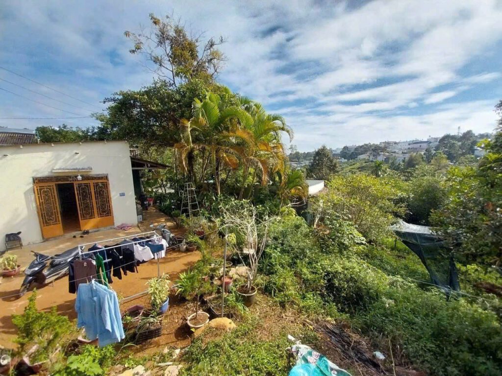 đất phường 2 TP. Bảo Lộc. Khu vực xung quanh đất bán 