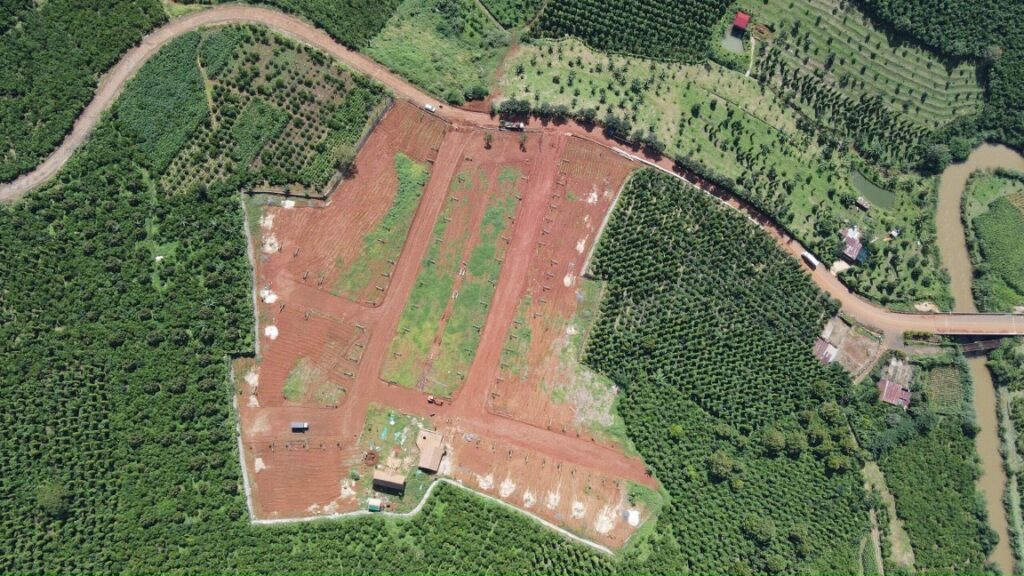 Đất rẫy Bảo Lộc. Đất rẫy Dambri  – Xanh mát, sinh lời, an yên giữa đại ngàn