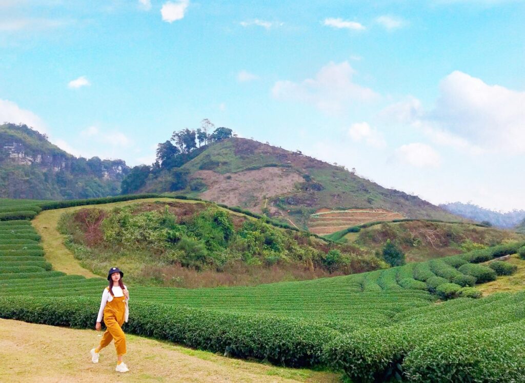 Đất đồi Bảo Lộc. Đất đồi cực chill tại xã Lộc Tân 