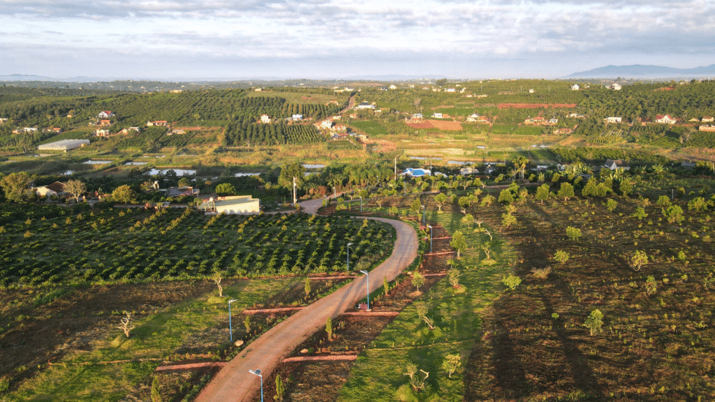 Đất rẫy Bảo Lộc. Đường đất đỏ dẫn vào rẫy Bảo Lộc – mộc mạc, gần gũi thiên nhiên