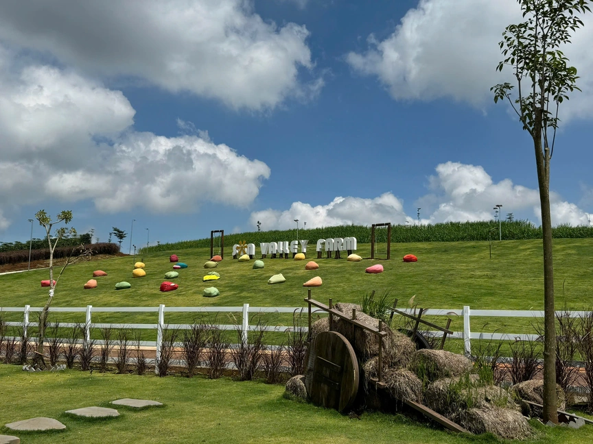 Bảo Lộc farm. Sun Valley Farm – nông trại xanh giữa núi rừng, đẹp yên bình và đầy trải nghiệm