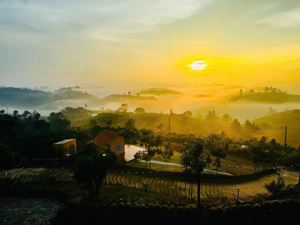 Farmstay Bảo Lộc. Giăng’s House – chốn dừng chân nơi rừng thông, len lỏi từng sớm mai.