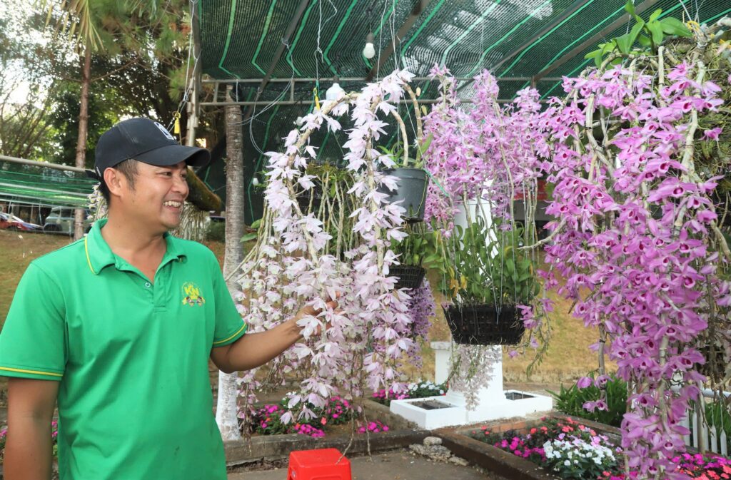 Các loại cây trồng ở Bảo Lộc. Hoa lan Cattleya – biểu tượng rực rỡ của nông nghiệp Bảo Lộc