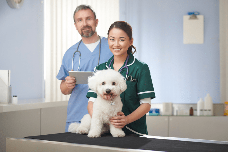 Phòng khám thú y Bảo Lộc. Phòng khám thú y hiện đại bật nhất