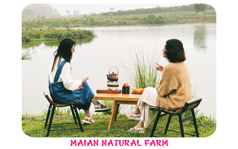 Bảo Lộc farm. Maian Natural Farm – Xanh mướt, bình yên và thuần khiết