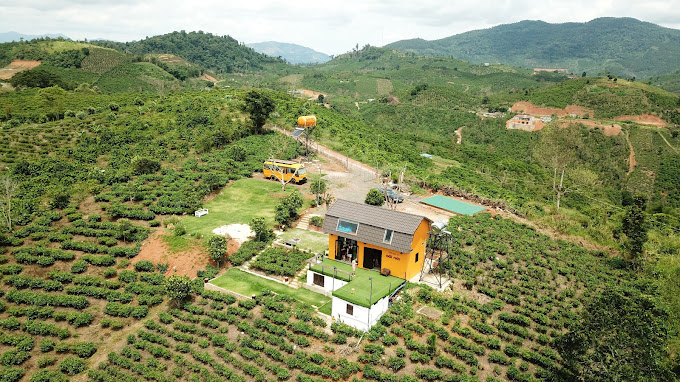 Homestay view săn mây Bảo Lộc. May Hill Homestay – chốn bình yên giữa mây trời Bảo Lộc