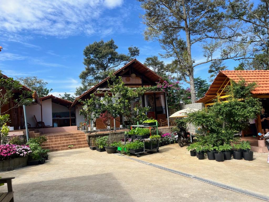 Homestay Bảo Lộc view hồ. Ngọc Kim Homestay – góc bình yên view hồ đầy thơ mộng