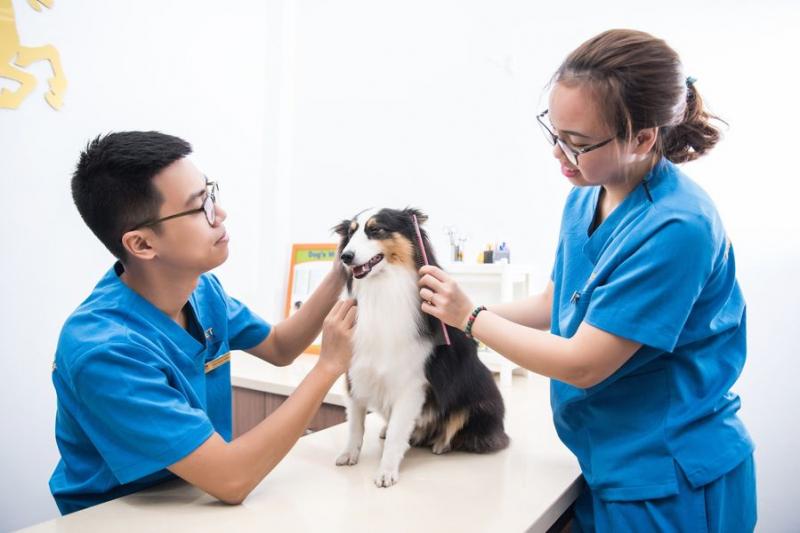 Phòng khám thú y Bảo Lộc