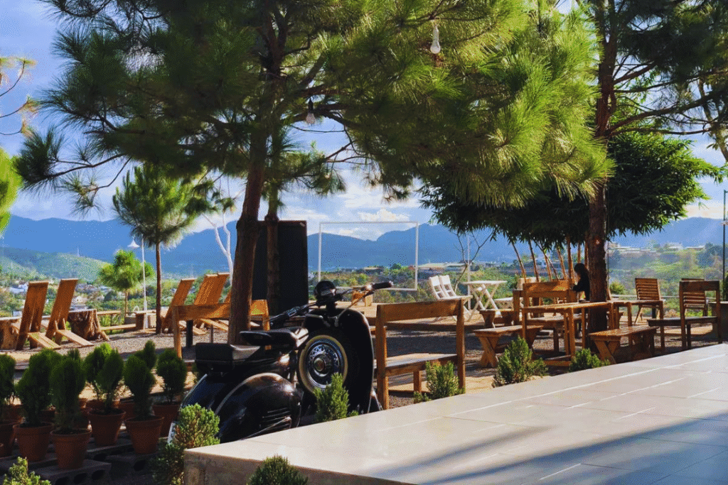 Cà phê sân vườn Bảo Lộc. Một chiều Bảo Lộc, cà phê sân vườn lãng đãng sương giăng, view đẹp