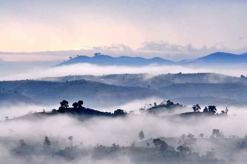 Đất đồi Bảo Lộc. Sương mù mơ màng tại Bảo Lộc