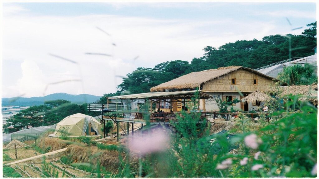 Homestay view săn mây Bảo Lộc. The Organic Life – bình yên giữa đồi chè, chạm mây giữa thiên nhiên