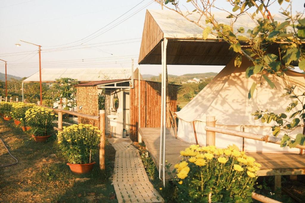 Biệt thự tại Bảo Lộc. Thông Vi Vu Glamping – mộng mơ giữa rừng thông xanh ngát