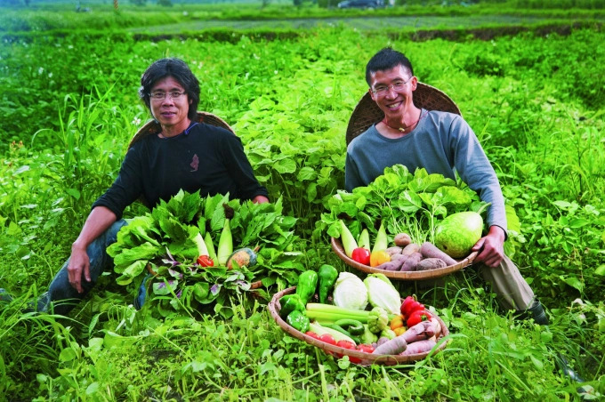 Bảo Lộc farm nổi tiếng cảnh đẹp