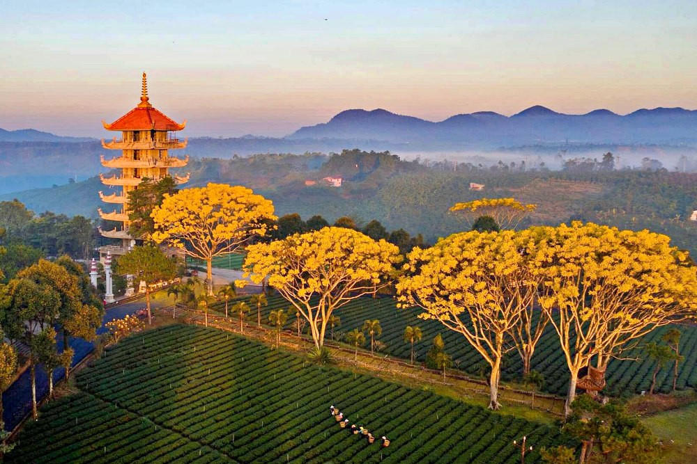 Chùa Bảo Lộc. Tu viện Bát Nhã – chốn thiền tịnh giữa mây trời Bảo Lộc