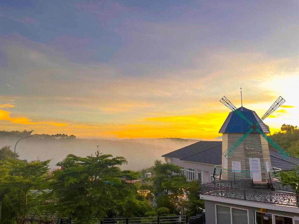 Homestay view săn mây Bảo Lộc. Tulip Garden Homestay – vườn hoa trong sương, đẹp như tranh