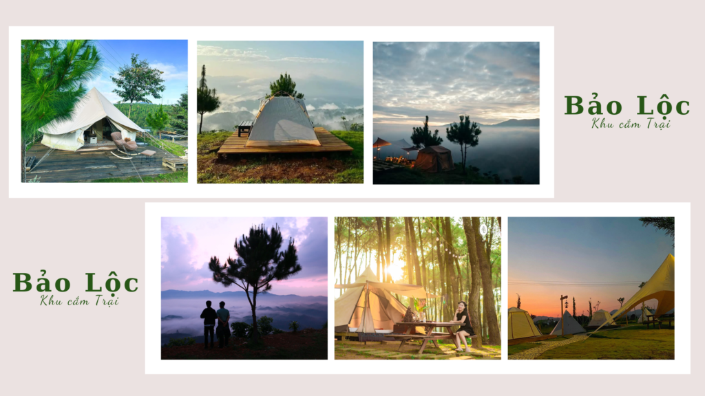 Hình ảnh khu cắm trại Bảo Lộc