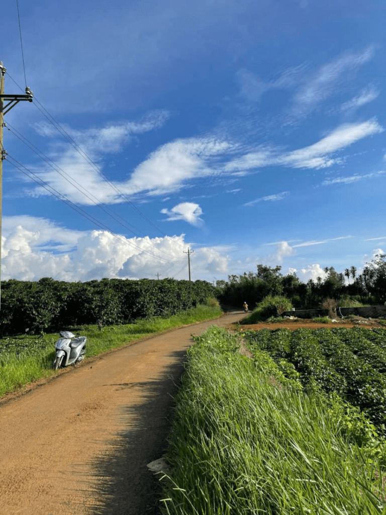 Đất Nền Bảo Lộc 