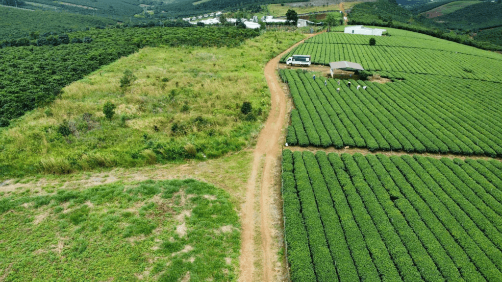 Đất Nền Bảo Lộc 