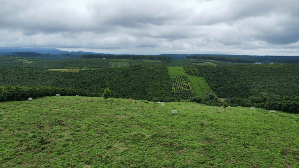 Đất Nền Bảo Lộc 