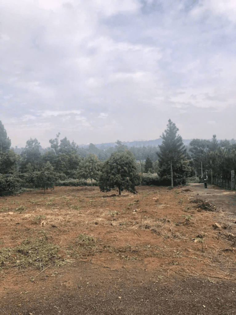 Đất Nền Bảo Lộc 