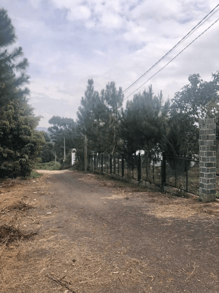 Đất Nền Bảo Lộc 