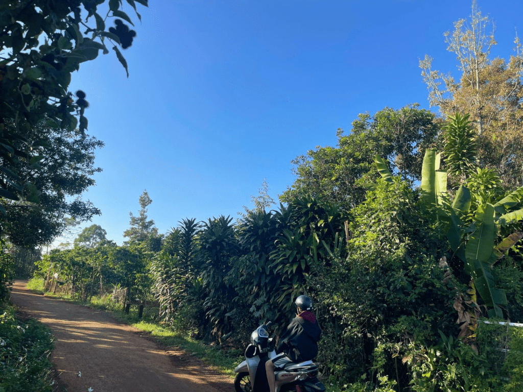 Đất Nền Bảo Lộc 