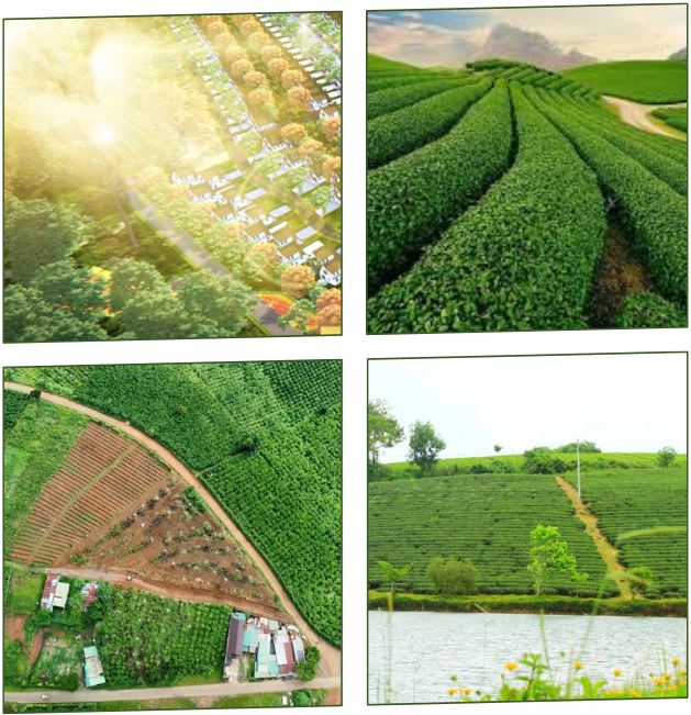 Hình ảnh tổng quan thị trường Đất Nền Bảo Lộc 