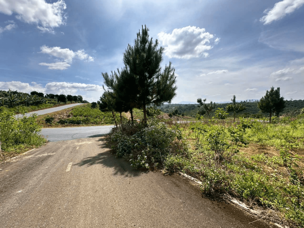 Mua Đất Nền Bảo Lộc