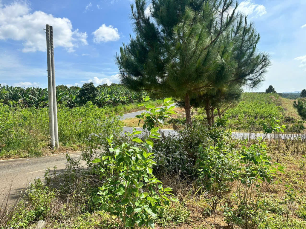 Mua Đất Nền Bảo Lộc