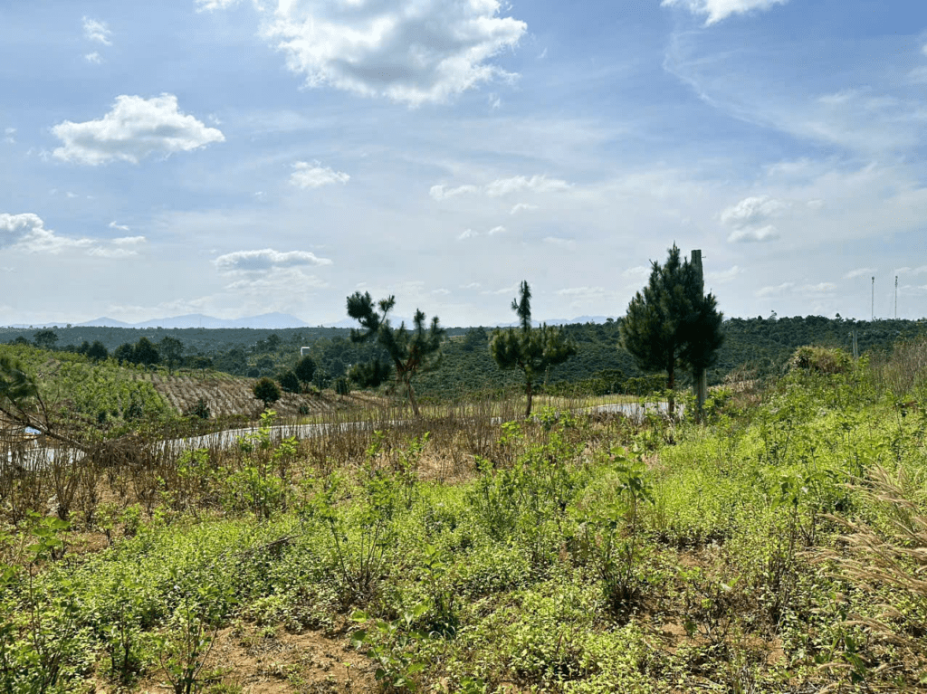 Mua Đất Nền Bảo Lộc