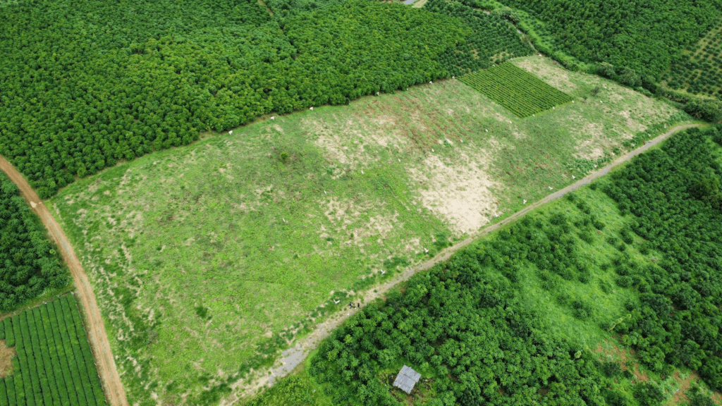 Mua Đất Nền Bảo Lộc