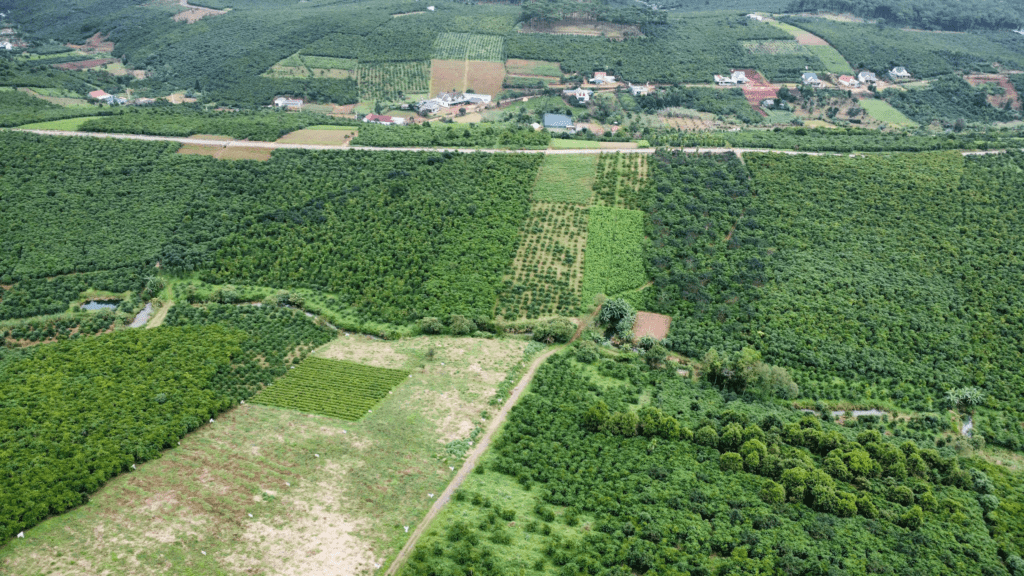 Mua Đất Nền Bảo Lộc