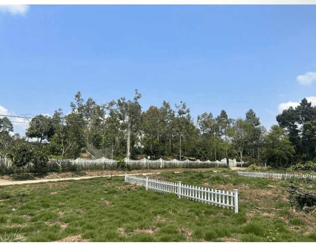 Mua Đất Nền Bảo Lộc